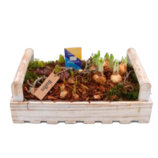 Arrangement houten bak rechthoek